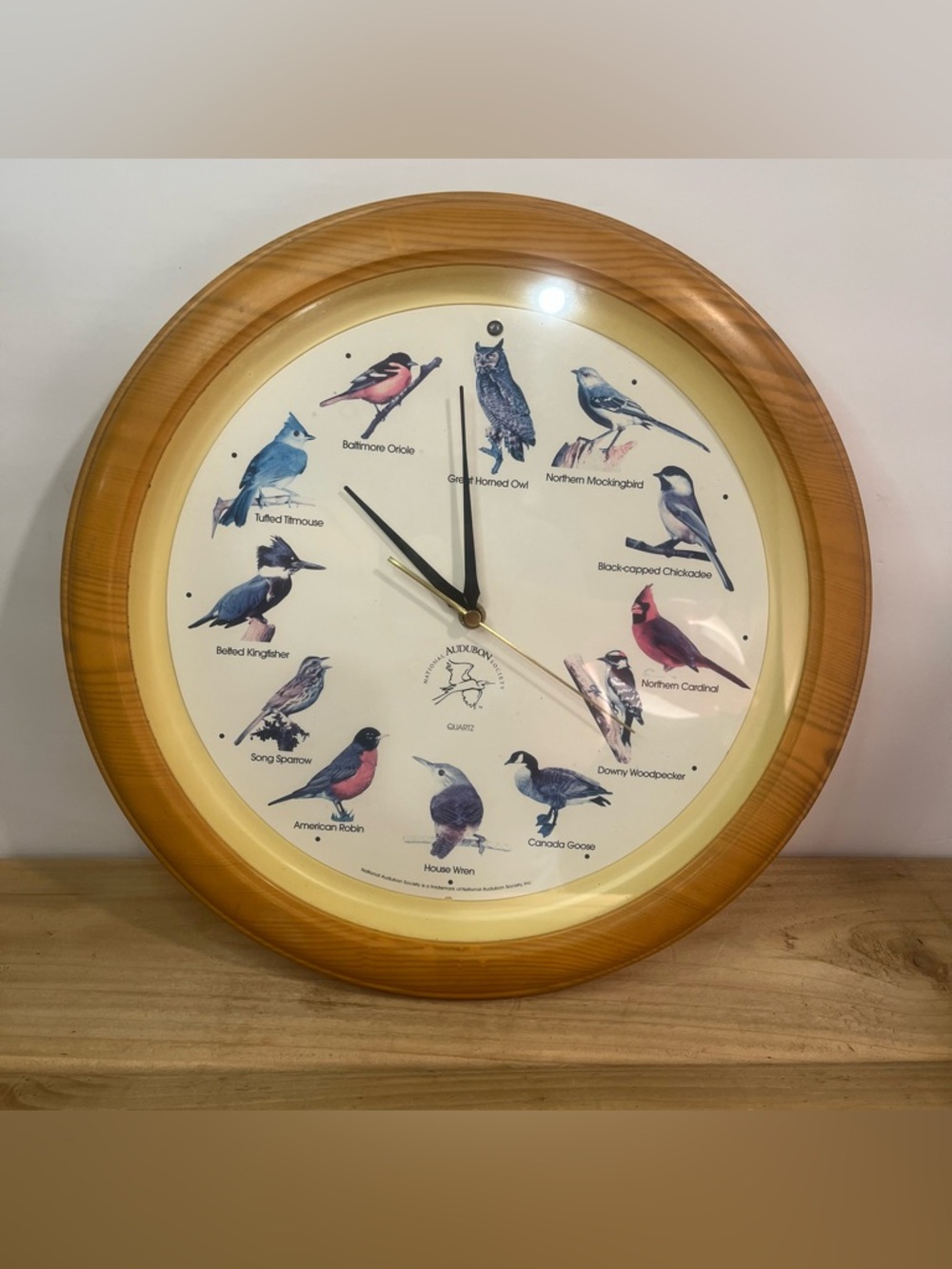 National Audubon Society Singing Bird Clock 13" Oak Colored Frame Clock - READ!
